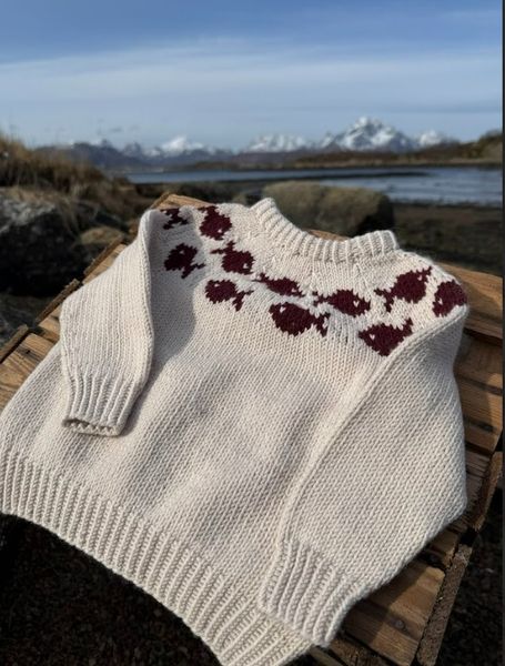 Hovedbilde Kystgenser og lue - Lys ...